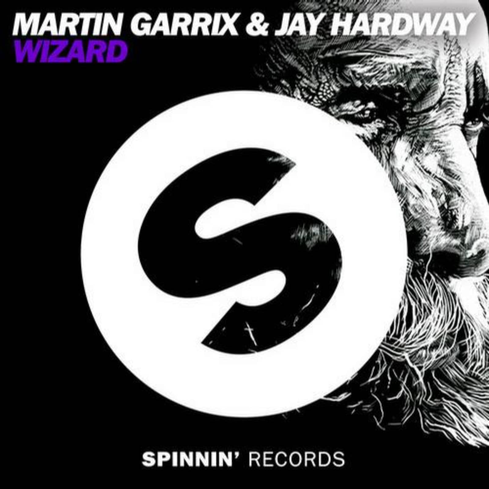 Martin Garrix feat. Jay Hardway — Wizard (radio edit)